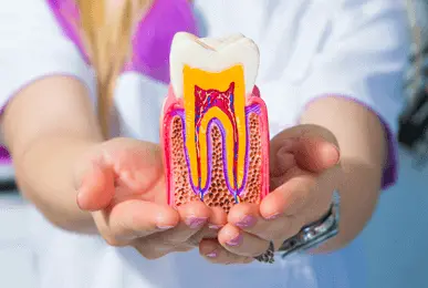Rootcanal treatment